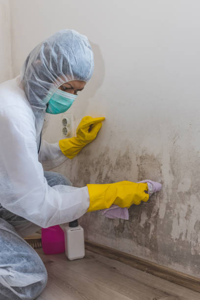 Best Residential Mold Inspection & Testing  in Hartshorne, OK