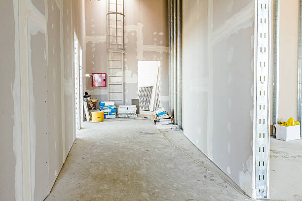 Biohazard Mold Removal in Hartshorne, OK